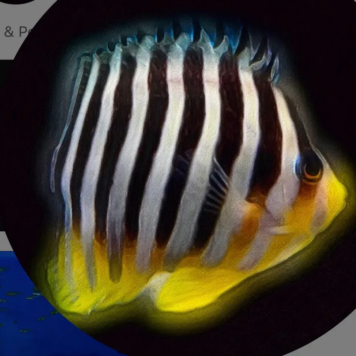 fishfish795