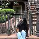 @yessica.denism