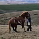@cowgirltuffcolttraining