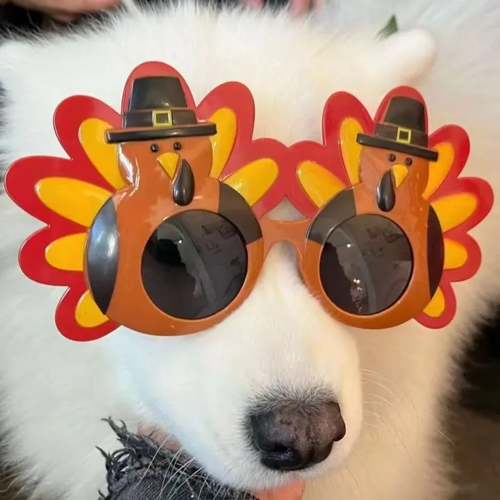 @pet_fnnytimes666
