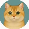 catsammie
