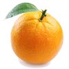 orange148463