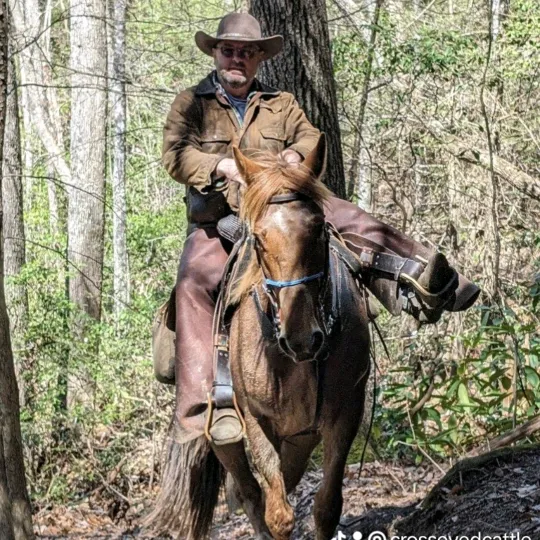 @crosseyedcattle