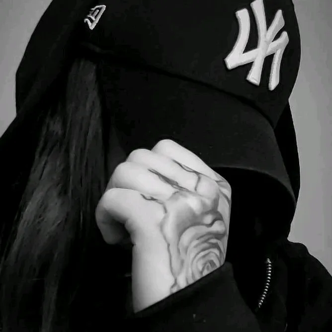 attitude_stylo