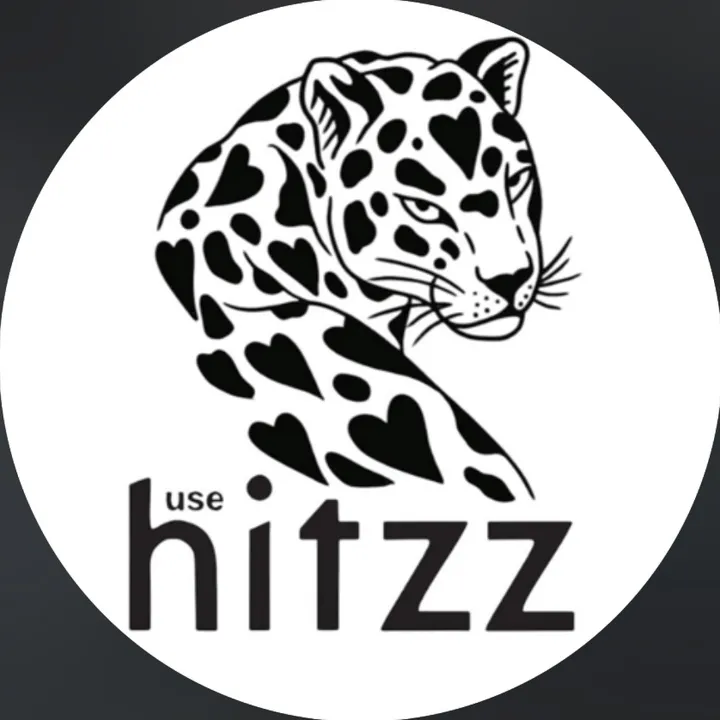 usehitzz.br