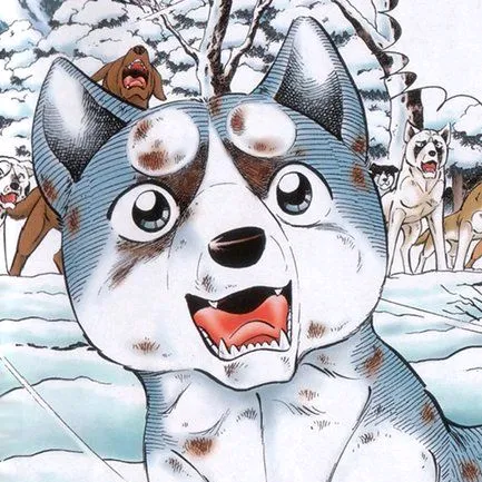 sakura_inu_plushies