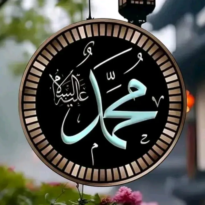 @ihsanullahchagharzi555