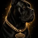 @tigreslifestyle