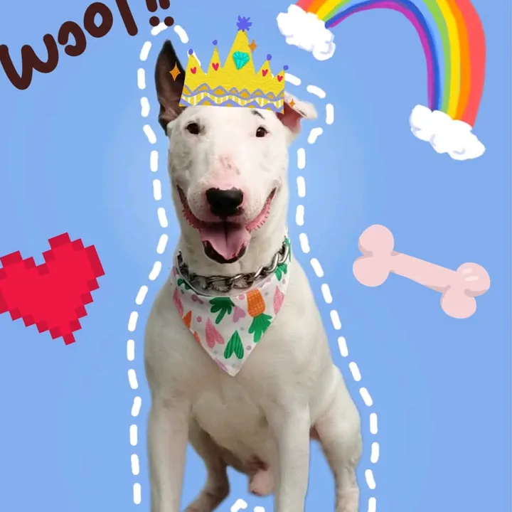 sparkyannie1