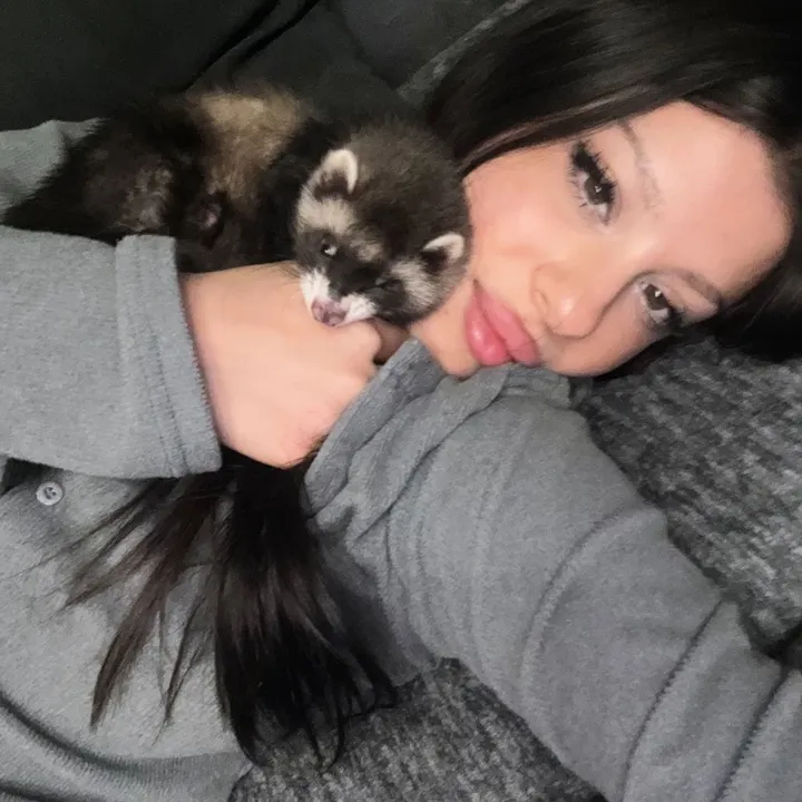 dxdelia