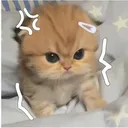 @sleep_e0
