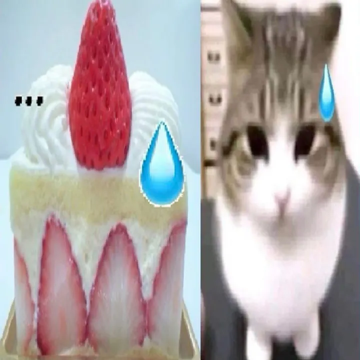 @zakuska200