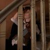 bungoustraynyx