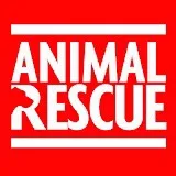 rescued.animals.u