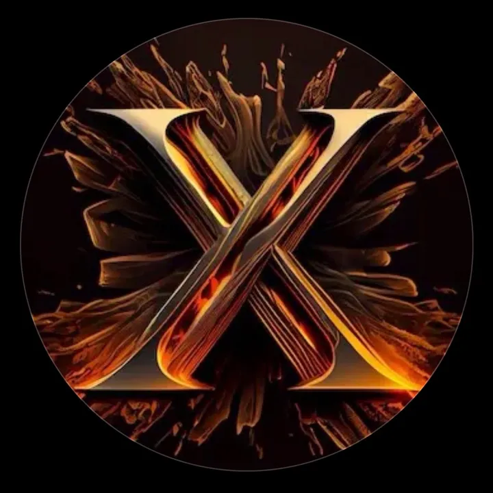 @mr.x999.com