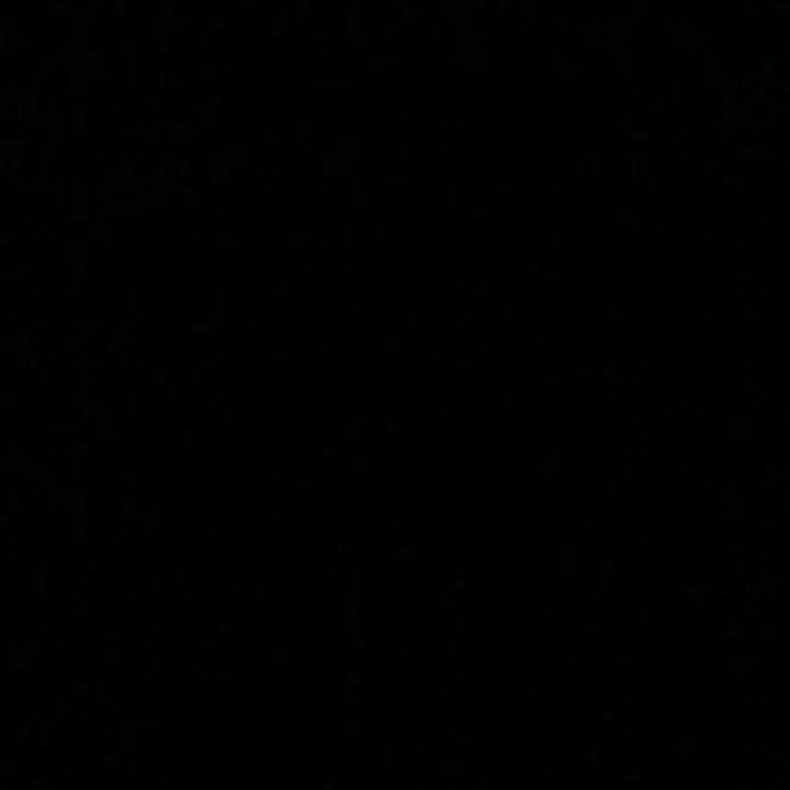 @cami_alvarez11