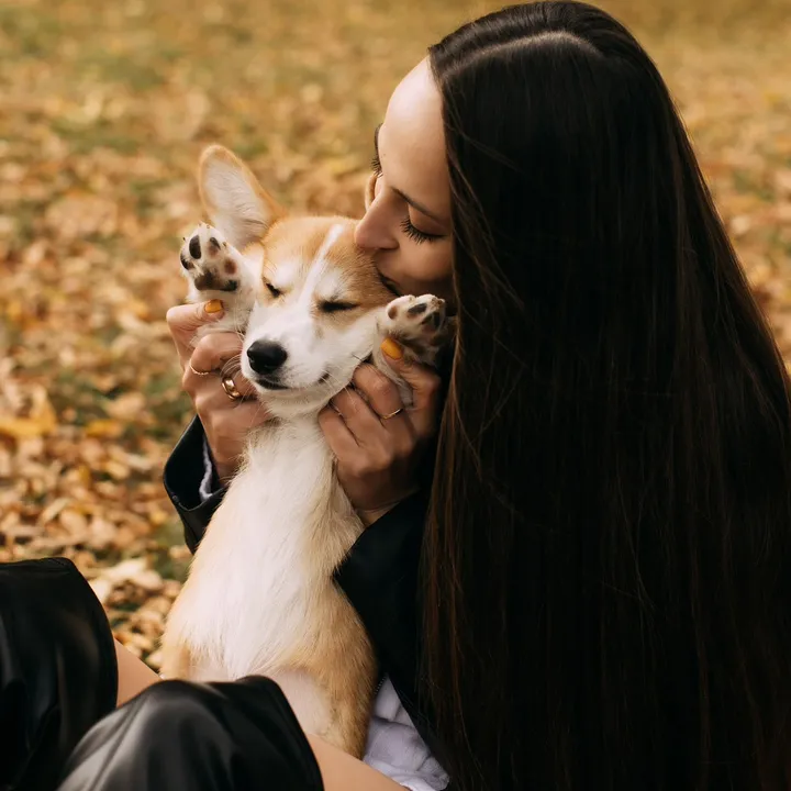 @corgimom.alntz