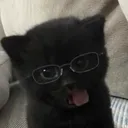 @d4k_void