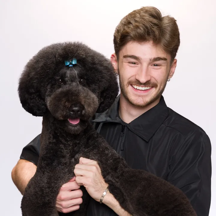 dogsbylogan