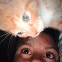 @sophiasspam.67