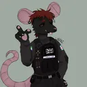 @crimson.rat