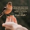 samirasaid513