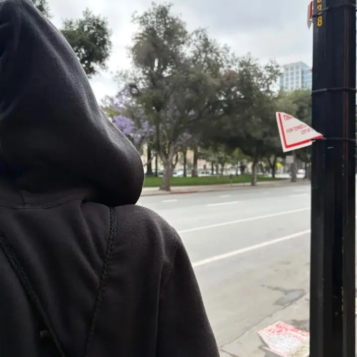 @diddyboydev