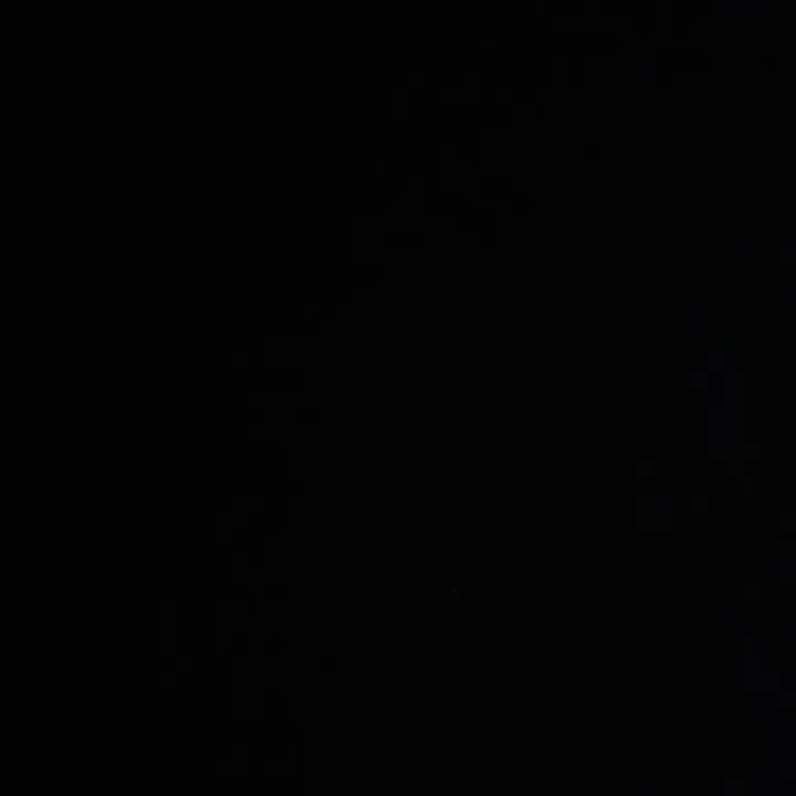 lgvfx1