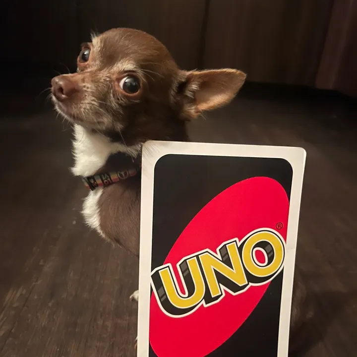 poquitochico