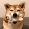 yiwhfzhdr023