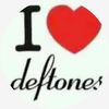 allyy.renee