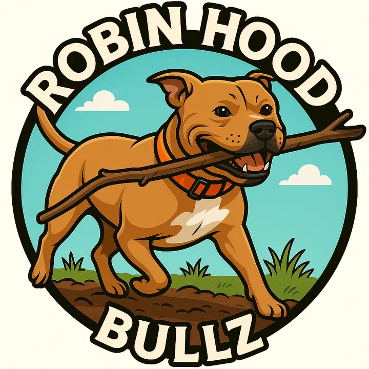 robinhoodbullz