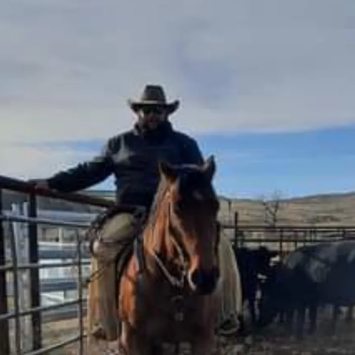 larsonlivestock