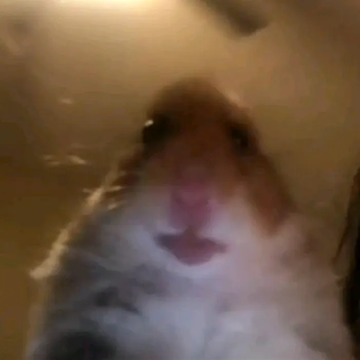 @snowyzunrae