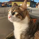 @arturocat123