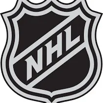 @hockey_usanhl