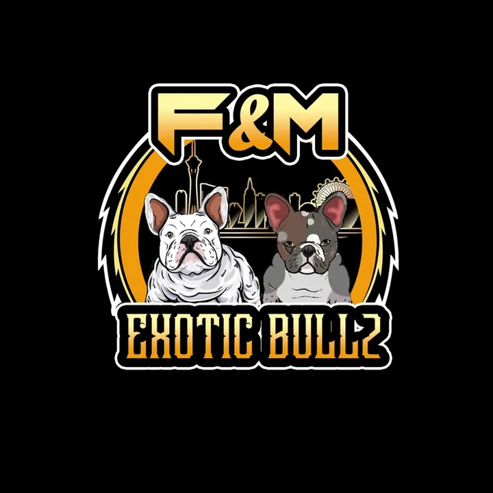 @dope_frenchbullz