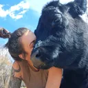 @dakotafunnyfarm