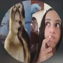 @sl2829163810