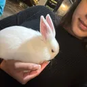 @sh4rkyg1rl