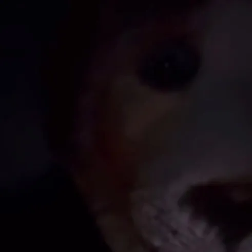 @6.6.048