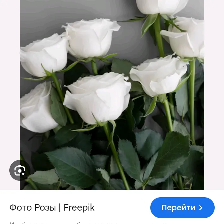 user3692812796948