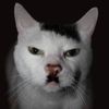 thegermancat3