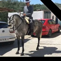 @enrikesalas90