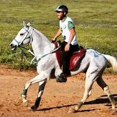 cuatralbo