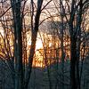 teagan.jones54