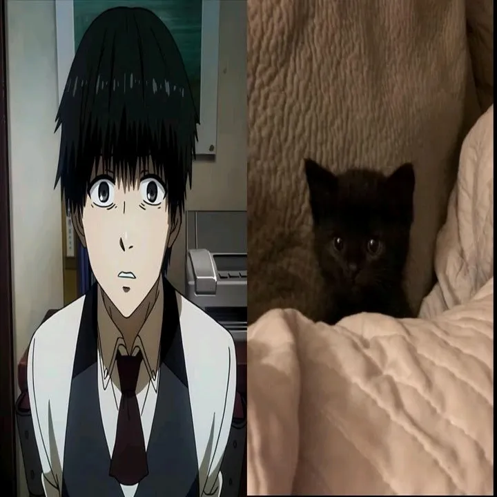 kagami_taig0