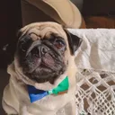 @opug.frank