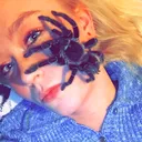 @shellbee7666