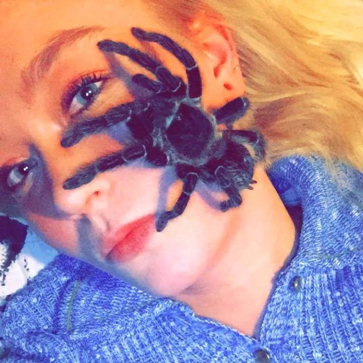 @shellbee7666